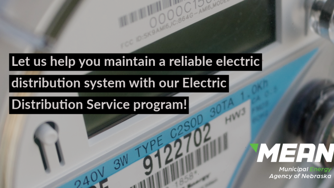 Electric Distribution Service