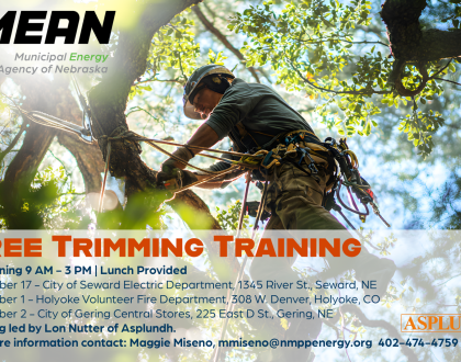Tree Trimming Training 