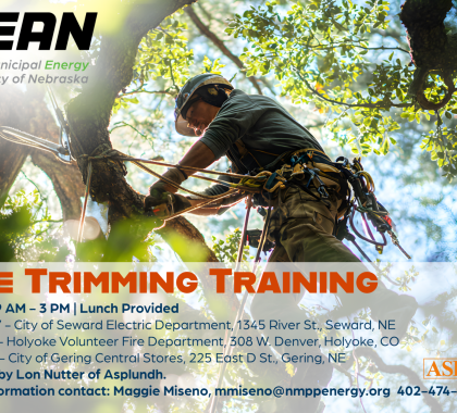 Tree Trimming Training 
