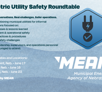 Electric Utility Safety Roundtable Sessions