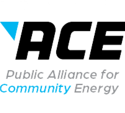 ACE logo