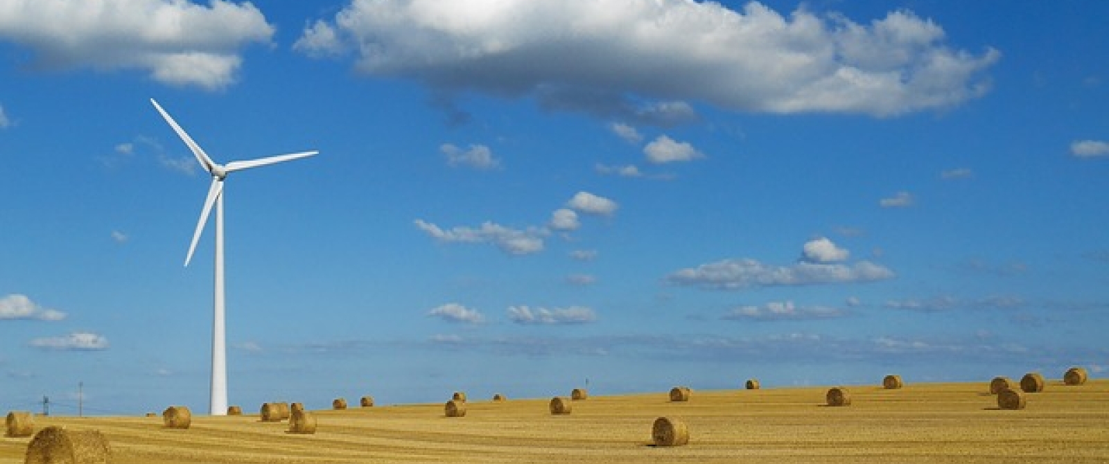 wind turbine landscape