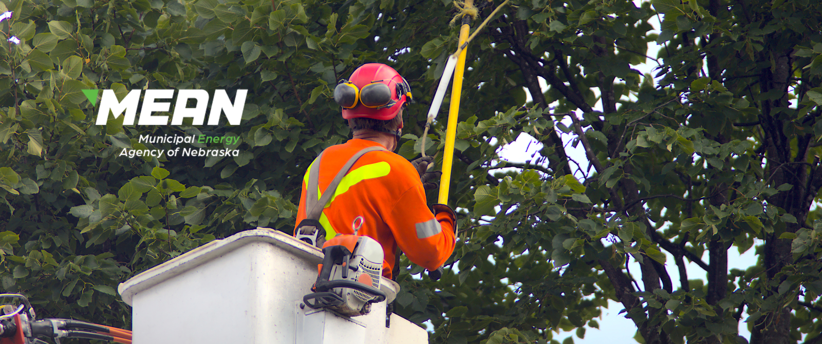 Line Clearance Tree Pruning Workshop